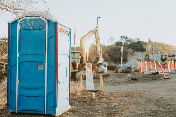 Best Sanitation services for porta potties  in New Martinsville, WV